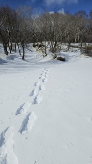 20240310_134943.jpg