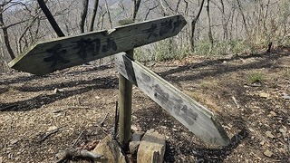 20240331_120251.jpg