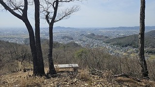 20240331_121635.jpg