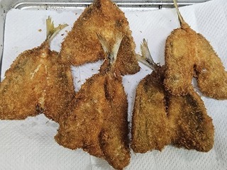 20240513_203511.jpg
