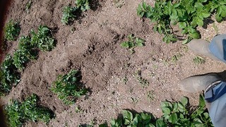 DSC_1191.jpg