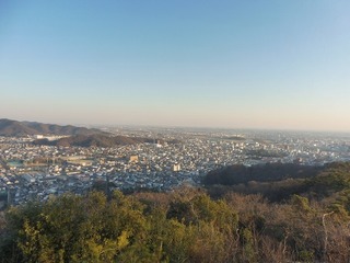 P1040470.jpg
