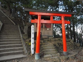 P1040476.jpg