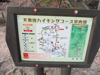 P1040478.jpg