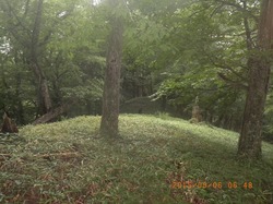 RIMG0115.jpg